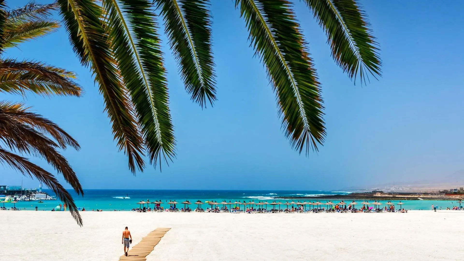 Barcelo Fuerteventura Royal Level (Adults Only) Hotel Caleta De Fuste 4*,  Spanje